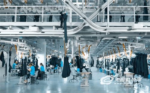 無錫實踐 以技術開發驅動傳統產業“老樹發新芽”，培育新質生產力打造發展新優勢